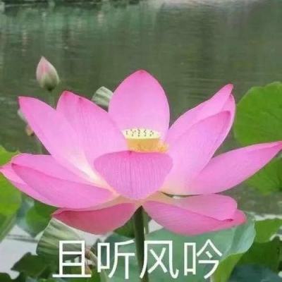 注意！新安江水库23日13时起开闸泄洪
